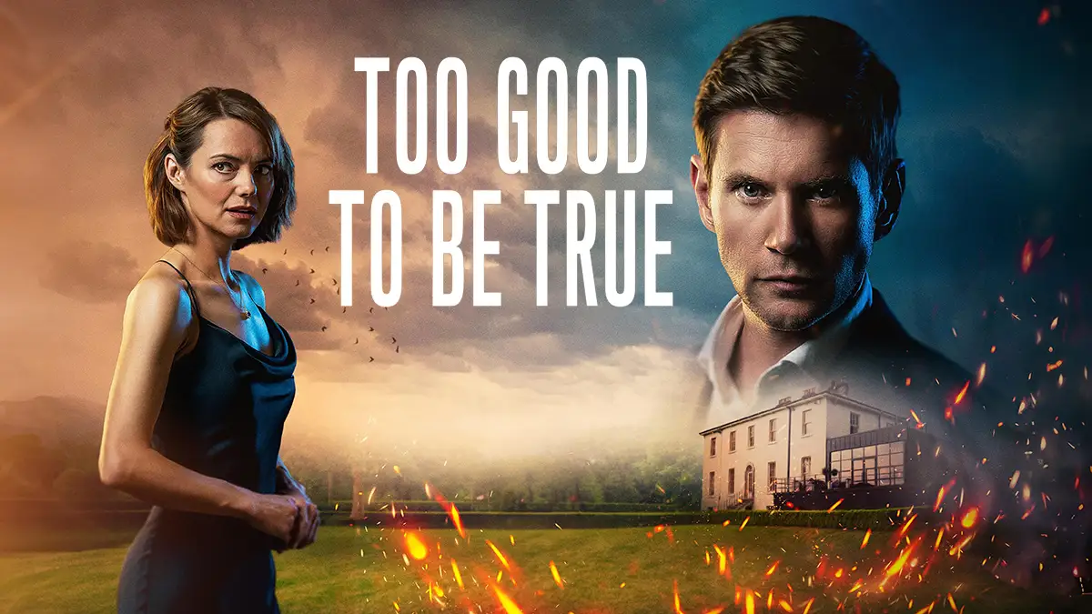 Too Good to be True 2024 poster