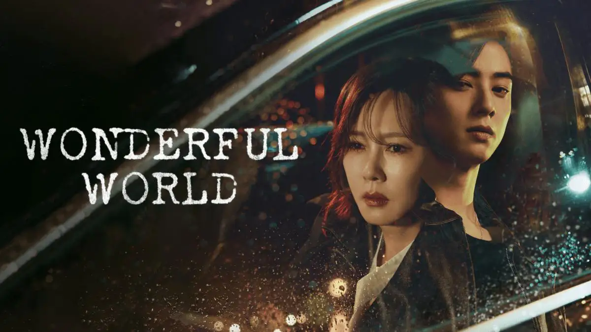 Wonderful World 2024 poster