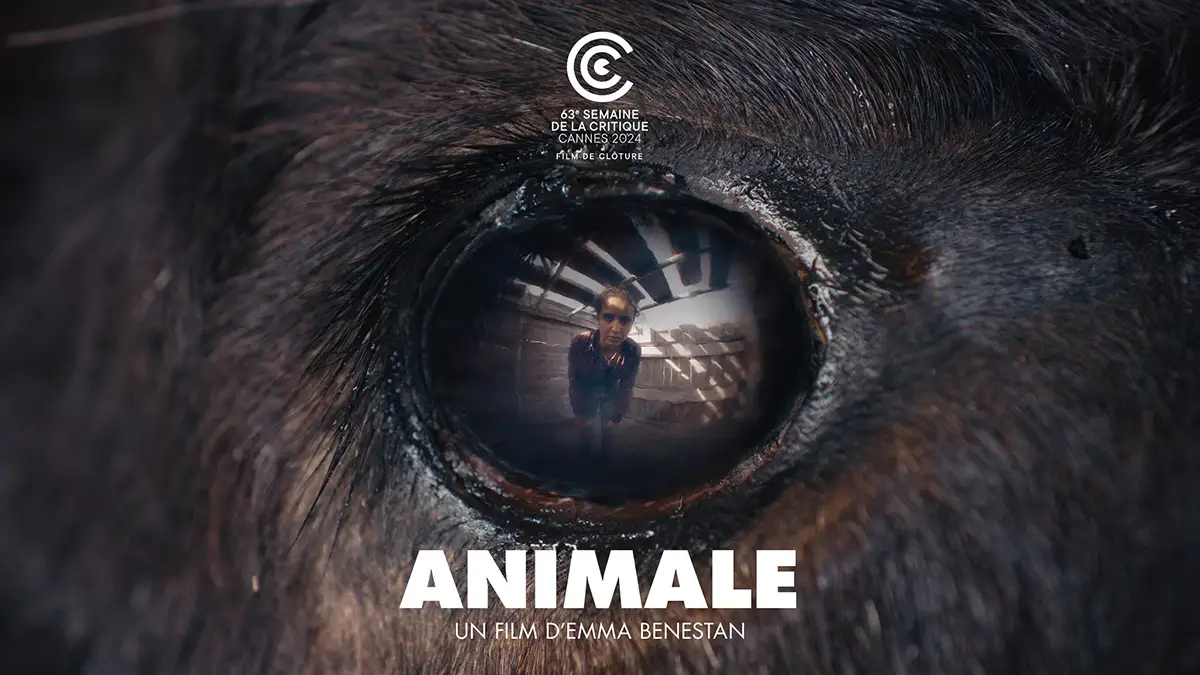Animale 2024 poster