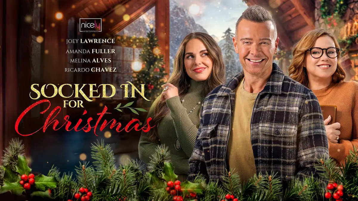 Socked in for Christmas 2025 poster